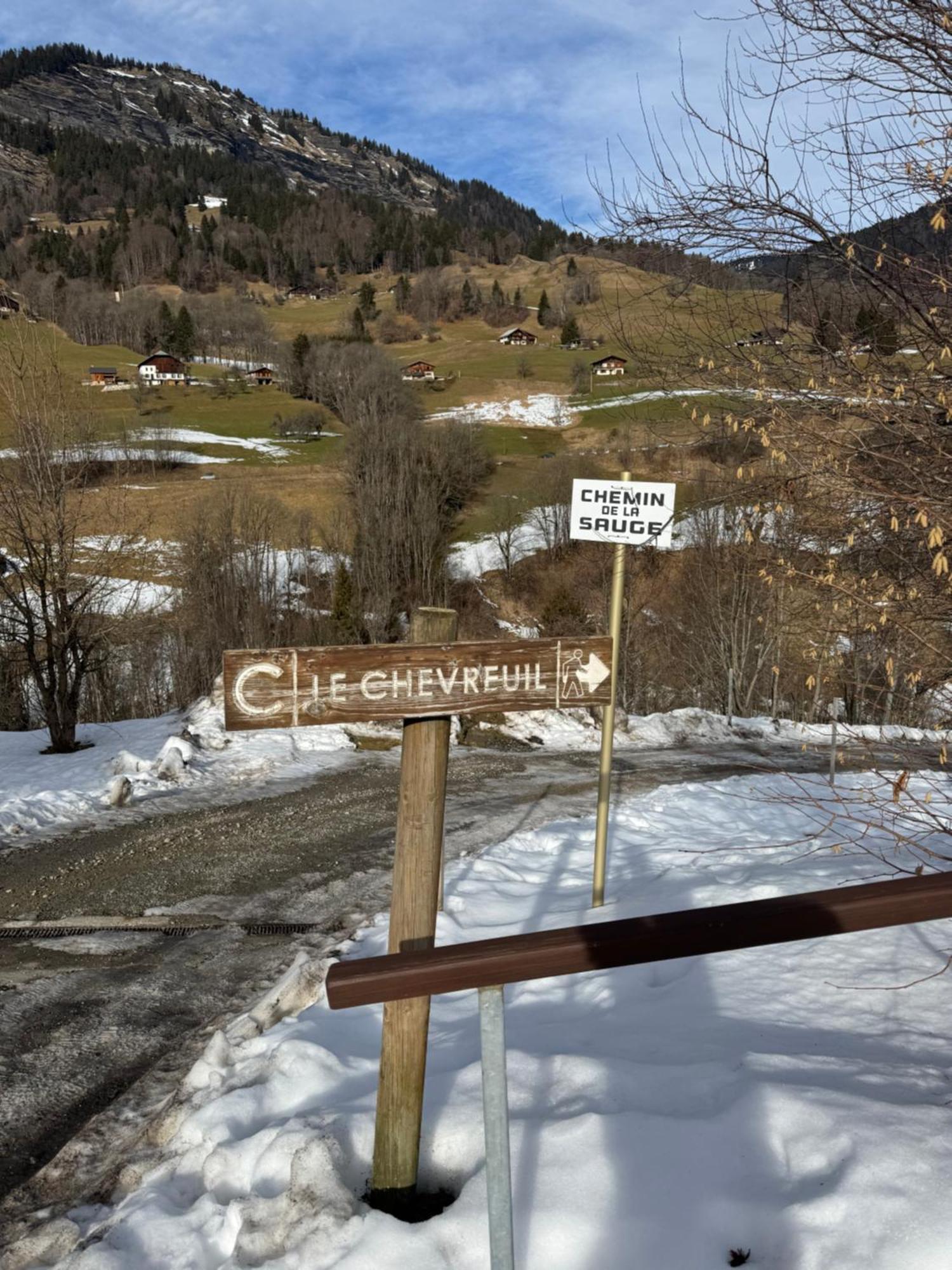 Piste Verte Flumet Esterno foto